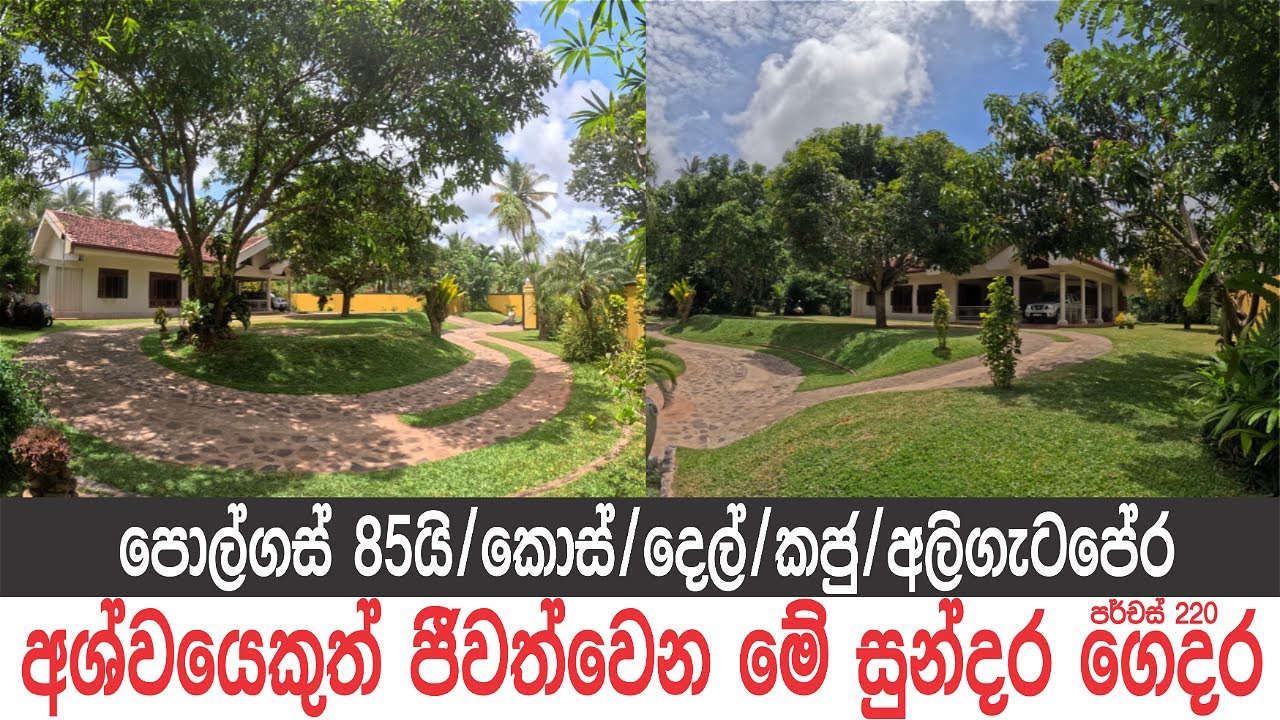 පොල්ගස් 85යි, කොස්, දෙල්, කජු, ලස්සන ගෙදරක්, අලිගැටපේර, නෙල්ලි, බිලිං