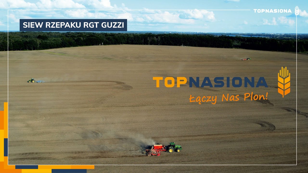 #7 Siew rzepaku RGT GUZZI / TopNasiona x Butor