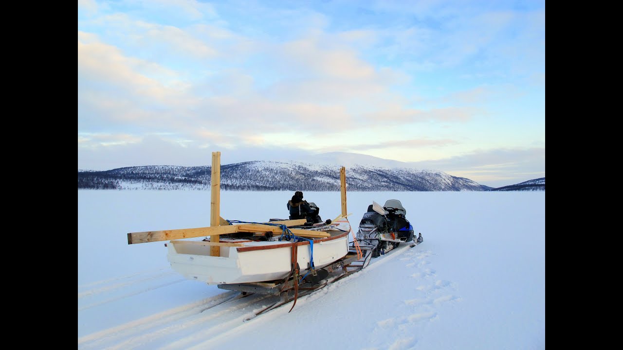 Ladybug sailing in Lapland