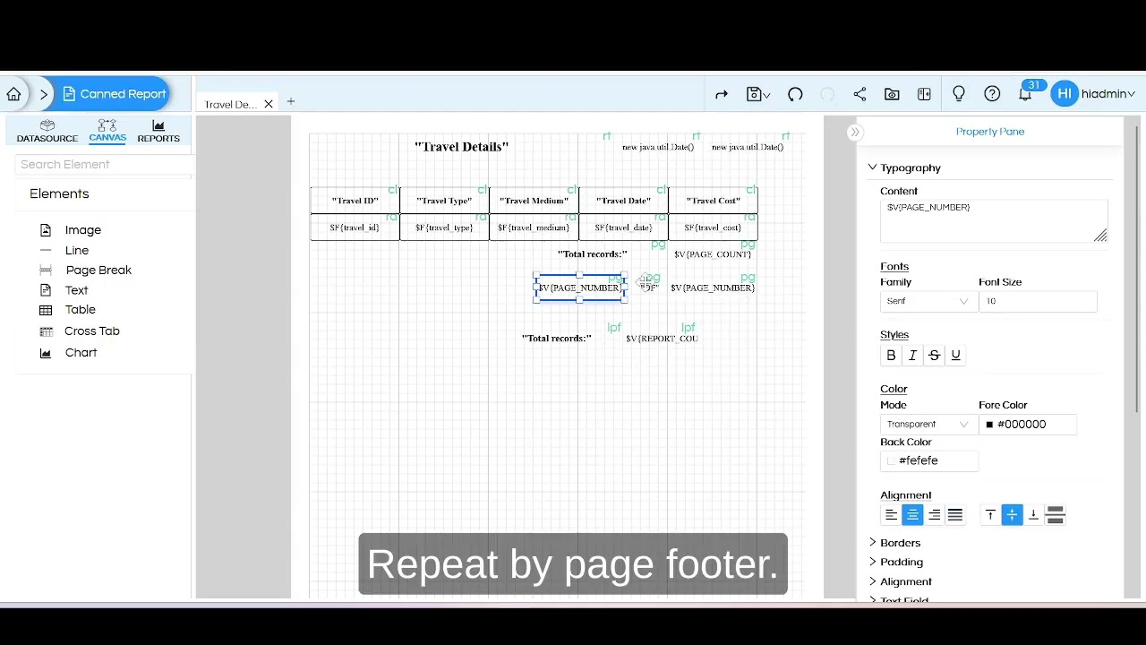 Quick Functions in Open Source BI Helical Insight Canned Report Module v6.0