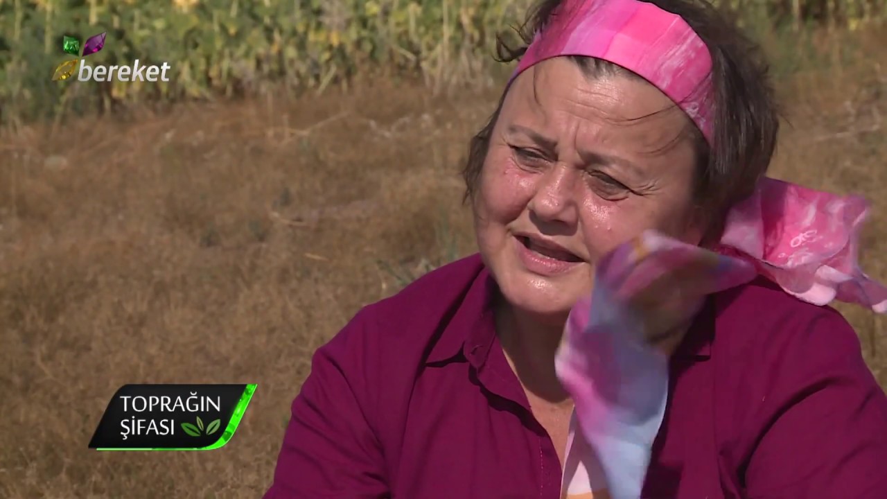 KİMYON NEDİR? FAYDALARI NELERDİR?