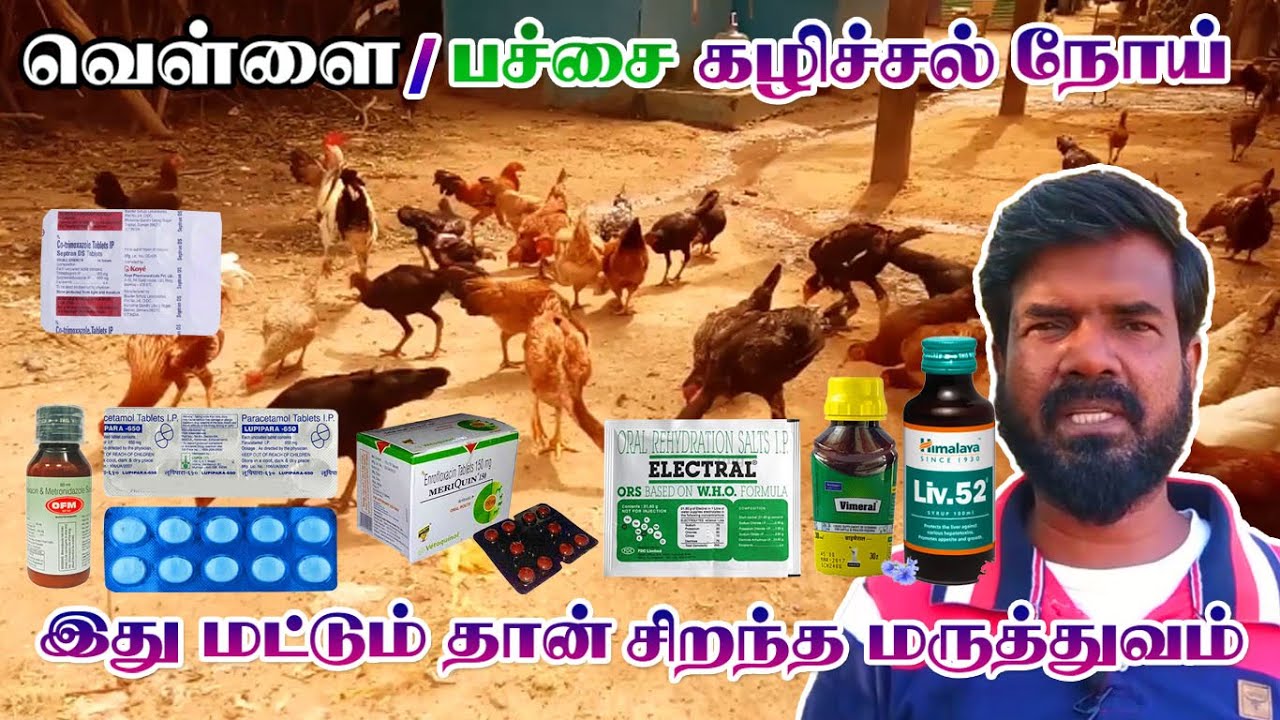 வெள்ளை / பச்சை கழிச்சல் நோய் | இது மட்டும் தான் சிறந்த மருத்துவம் | TAMIL | GUNA NATTUKOZHI PANNAI