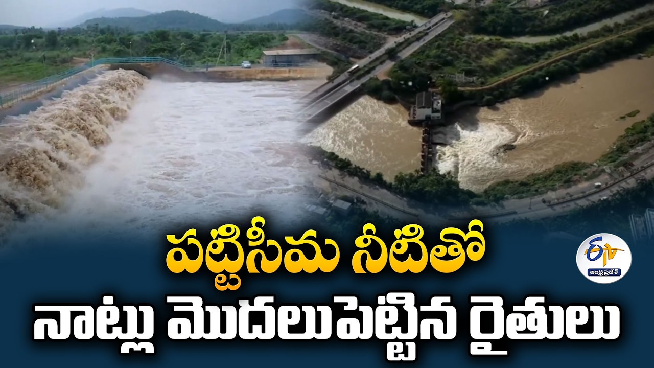 పట్టిసీమ జలాలతో కృష్ణా డెల్టాకు కొత్త ఊపిరి | మళ్లీ సాగు బాటలో రైతులు