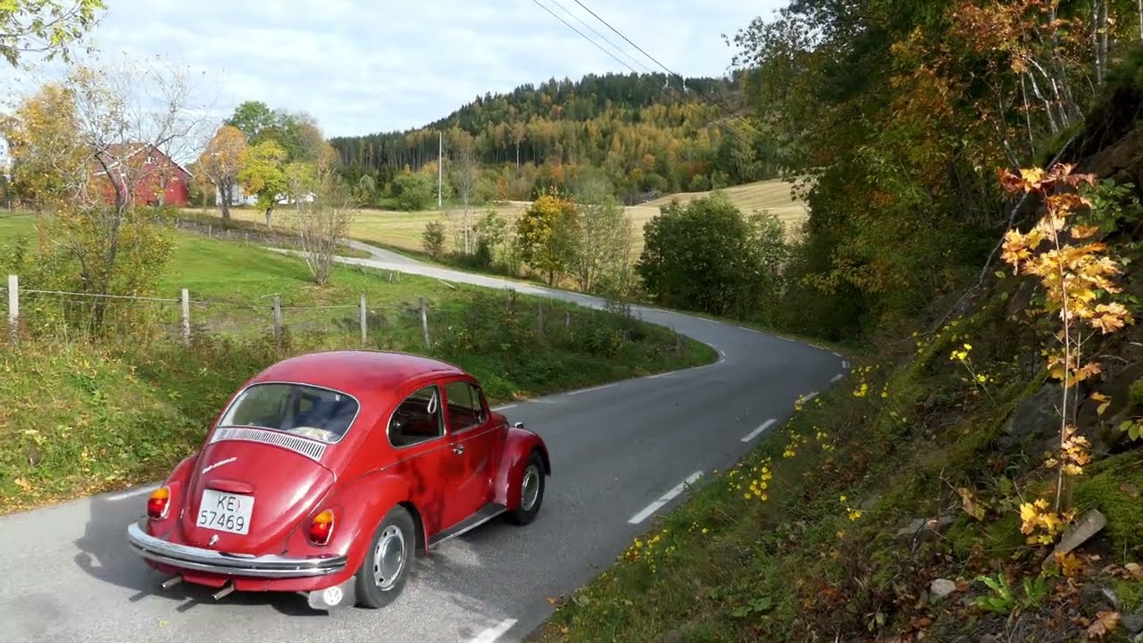 VW Beetle 1500 (1968) in Norwegian Autumn