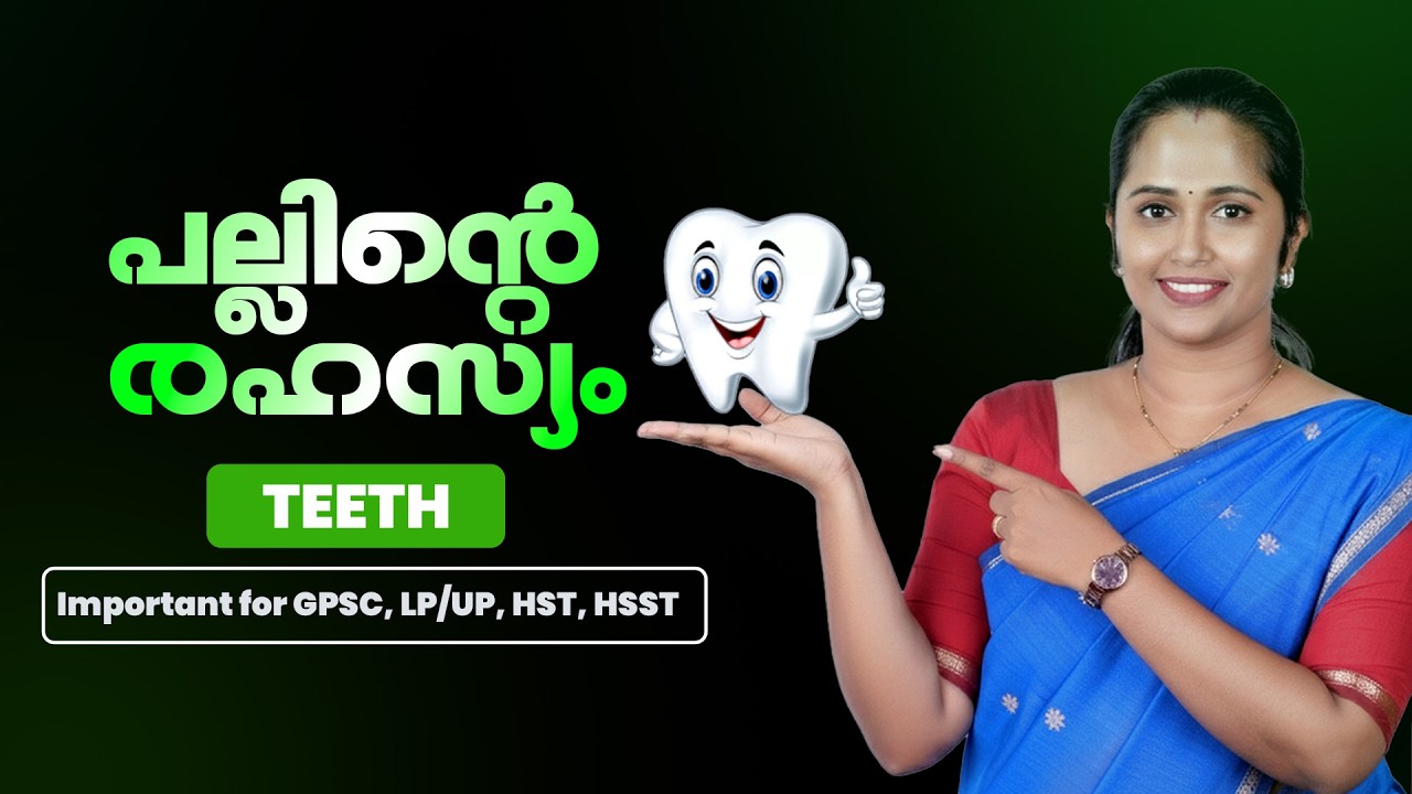 പല്ലുകളെക്കുറിച്ച് പഠിക്കാം | TEETH | Complete Revision📚 GPSV | LP/UP | HST | HSST