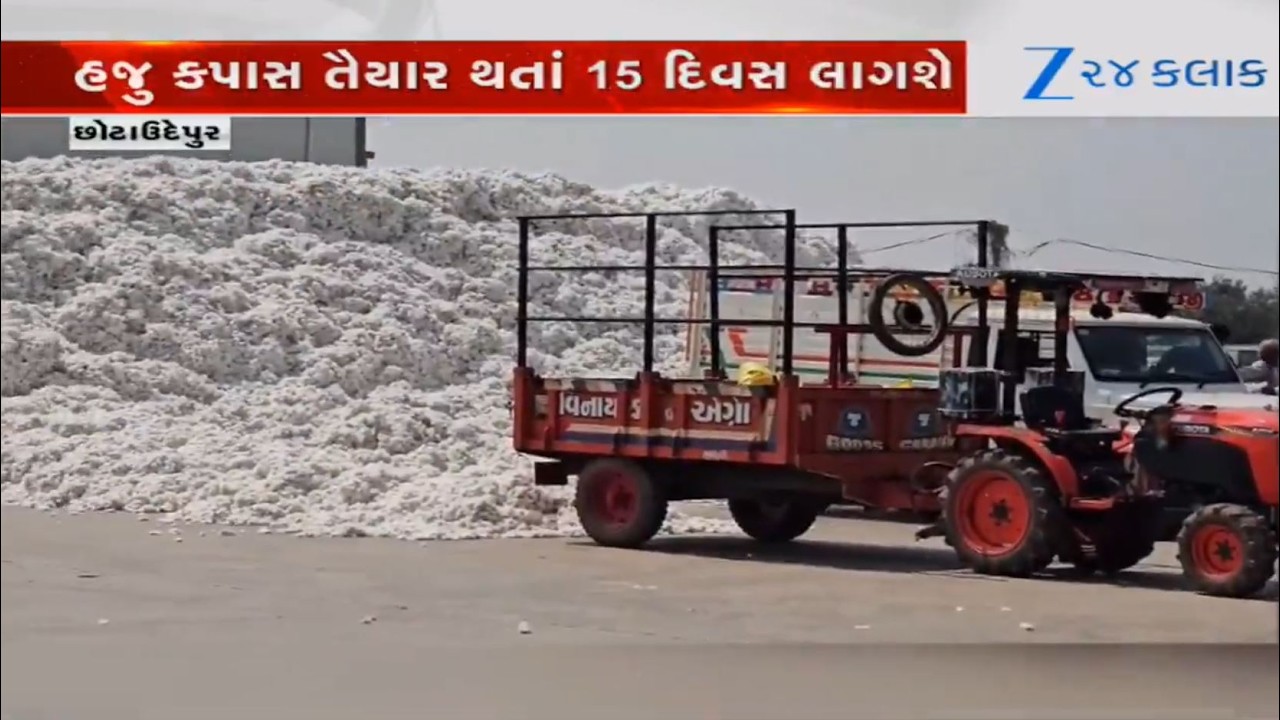 Gujarat: Farmers troubled as CCI announces to end procurement of cotton at MSP from February 27
