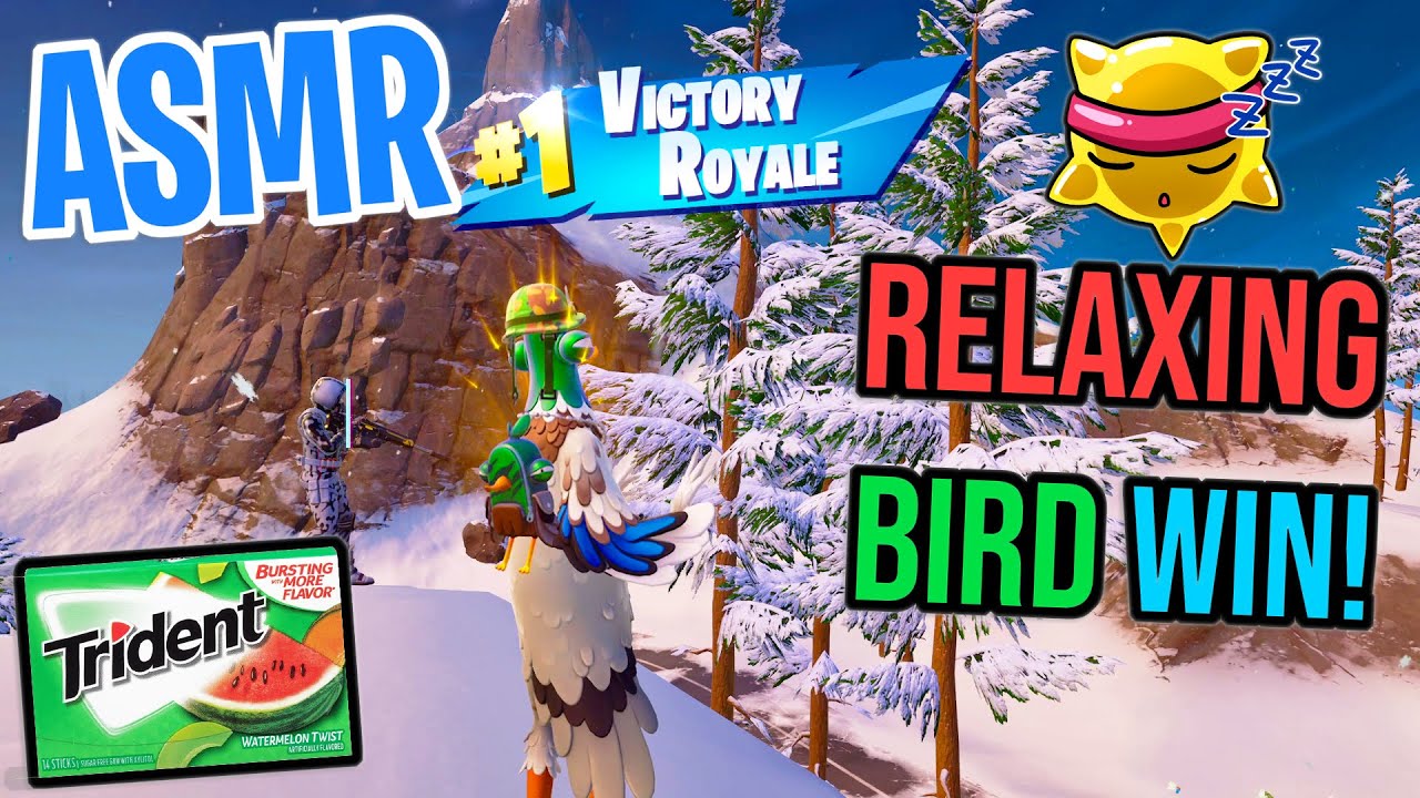 ASMR Gaming 😴 Fortnite Relaxing Bird Victory! Gum Chewing 🎮🎧 Controller Sounds + Whispering 💤