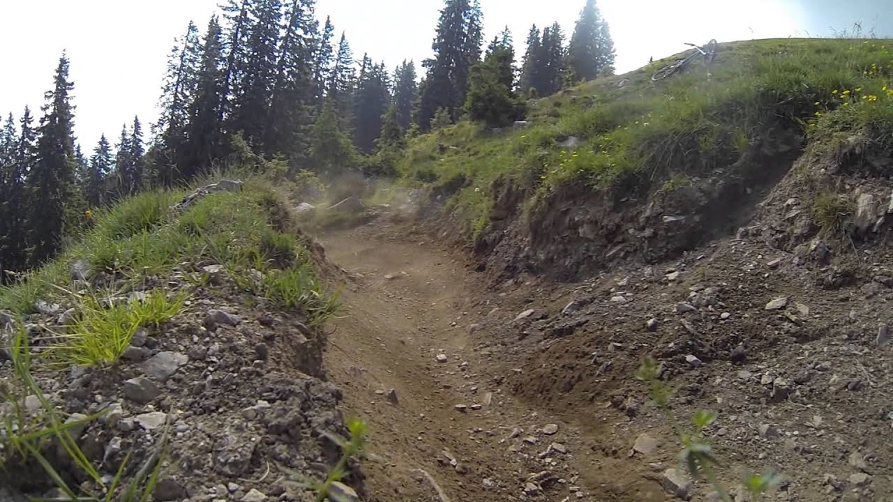 Bikepark Leogang Edit