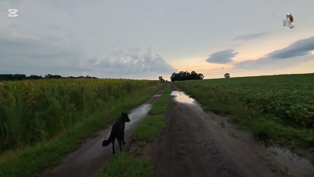 La Tormenta