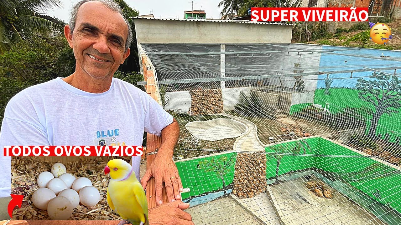 EU NUNCA VI UM RING NECK COLOCAR TANTO OVO ASSIM I NUNCA FAÇA ISSO AO ENTRAR NO CRIATÓRIO