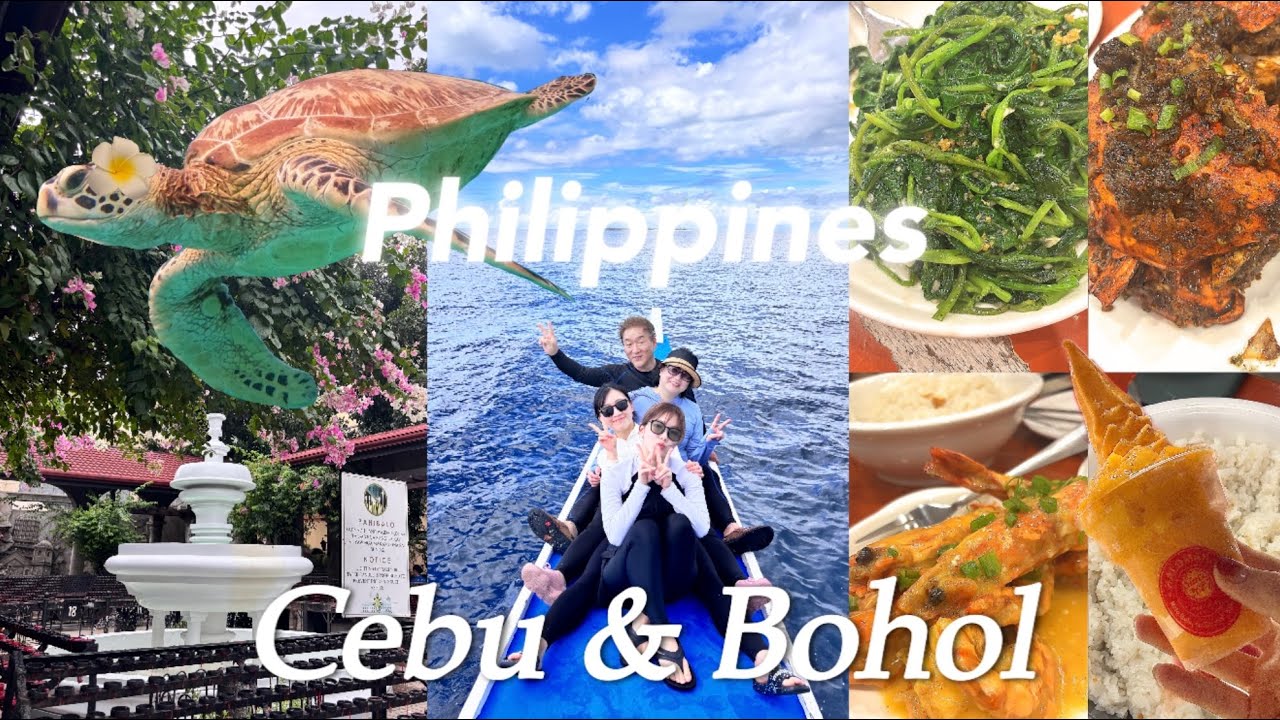 🇵🇭필리핀 [VLOG] 세부 보홀 브이로그 🌊🐢 | 첫 가족 해외여행 | 3박5일 알짜배기 여행 | 힐링 휴양지