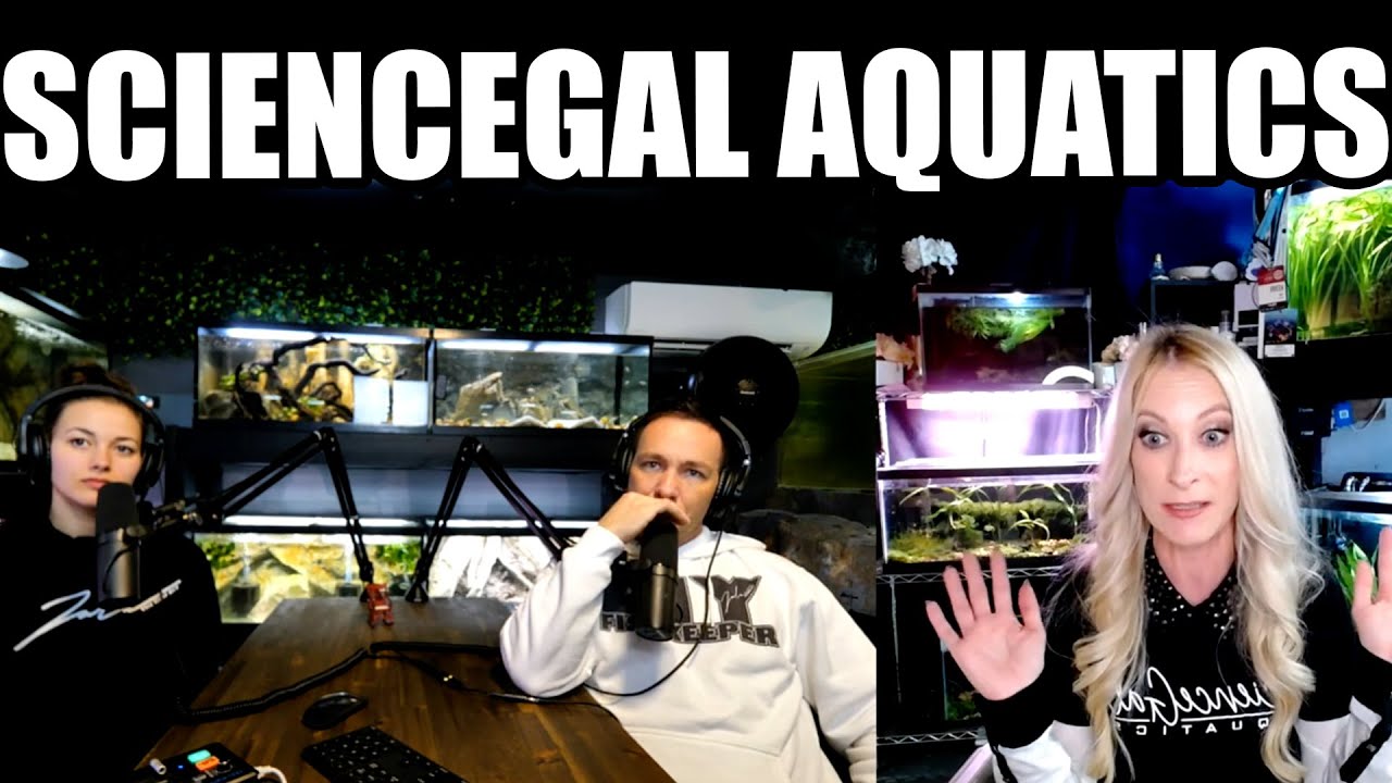 Aquariums Unfiltered - Episode 17 - ScienceGal aquatics - The king of DIY