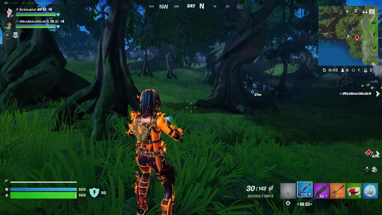 Fortnite Unexpected Win