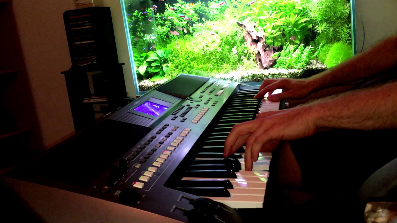 Ona jest ze snu (Yamaha s670)