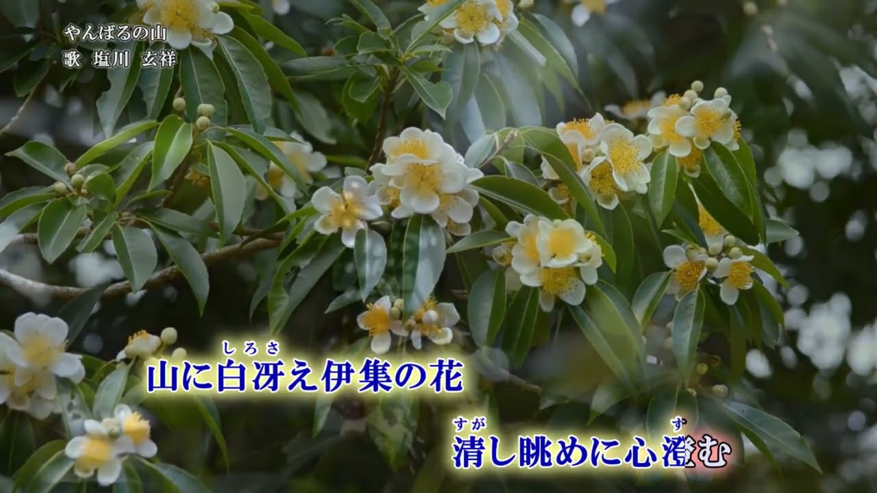 やんばるの山(歌入り)