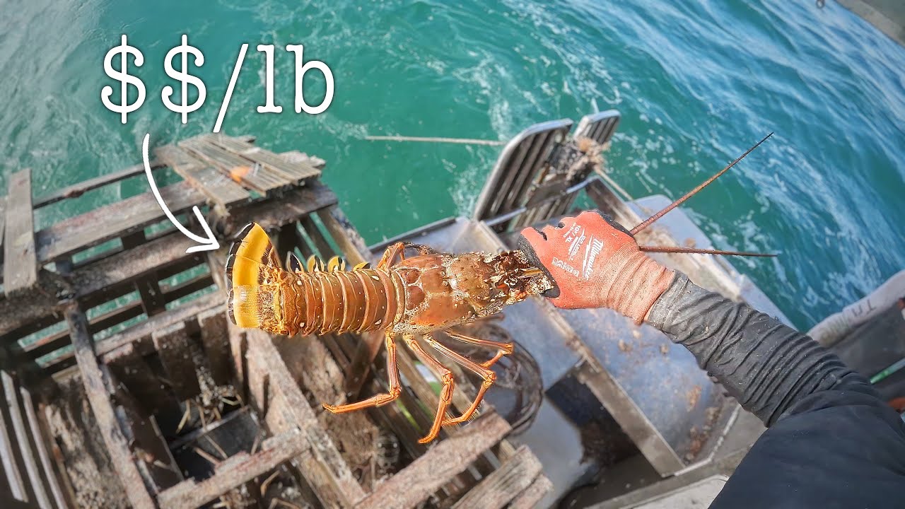 48 часов на коммерческой лодке для ловли лобстеров во Флорида-Кис