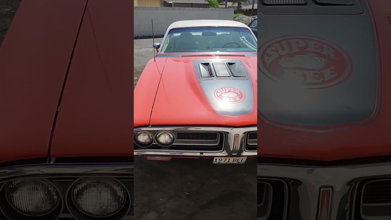 1971 Dodge Super Bee 🤩 #doordashdriver #classiccars #americanmusclecars #dodgesuperbee #dodgecharger