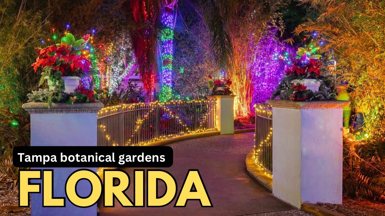 🇺🇸Last Night of Lights show , Evening walk through in Botanical gardens Tampa, Florida