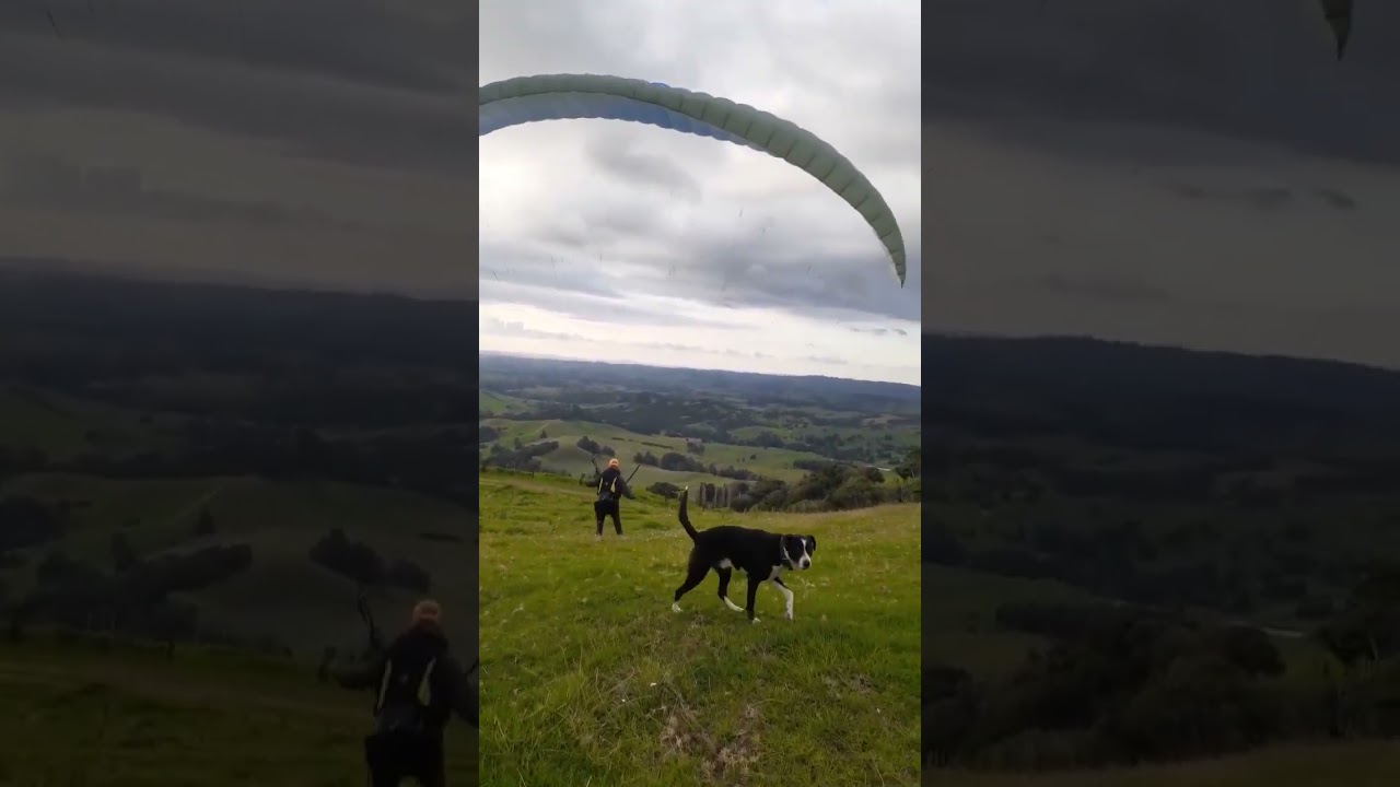 Paragliding in the Far North of NZ 