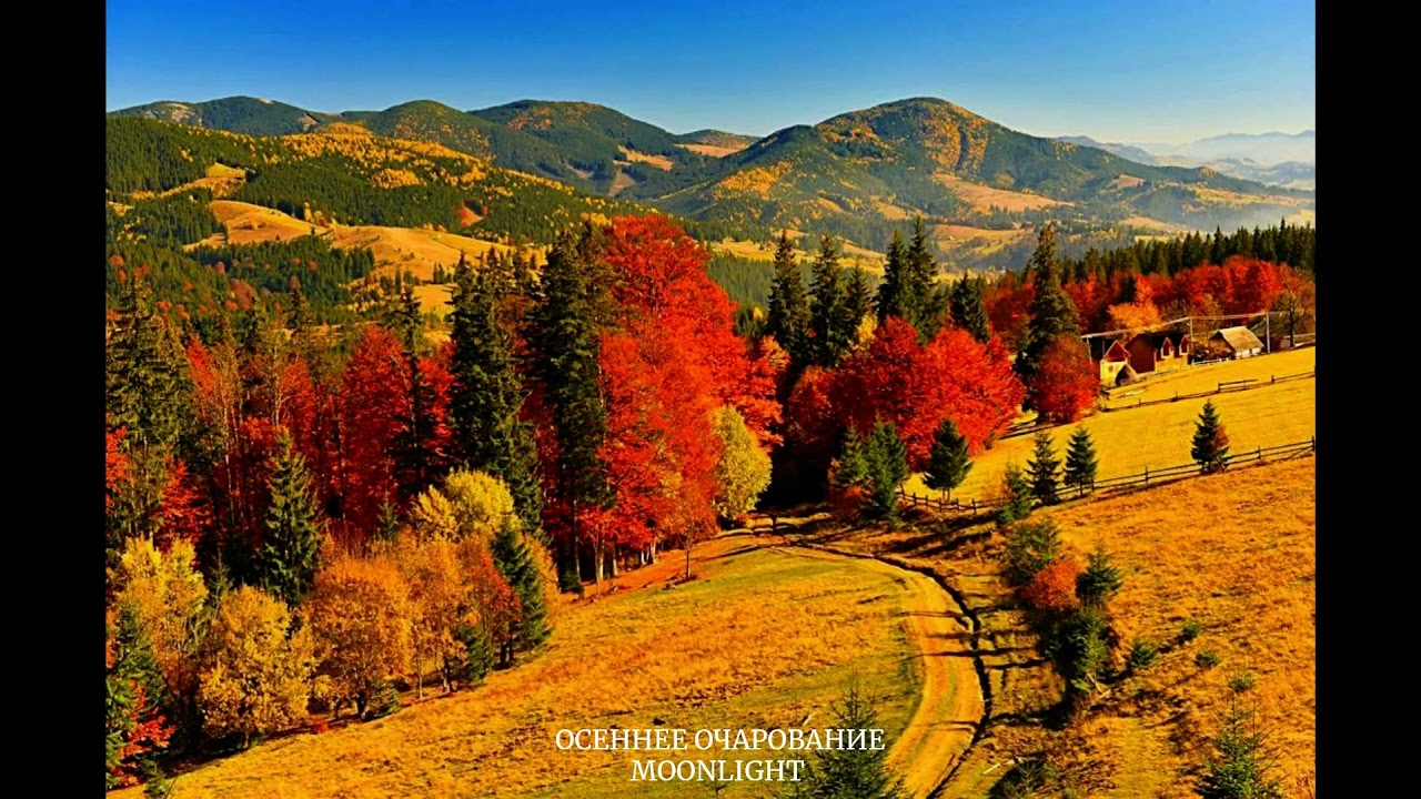Осеннее очарование  Autumn charm