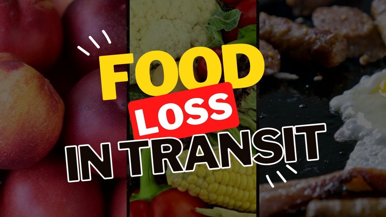 Food loss in transit