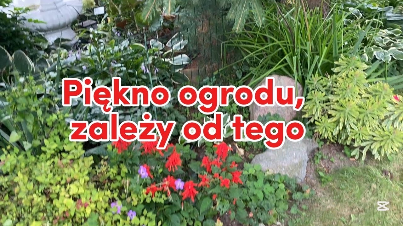 Plan nasadzeń roślin, by mieć wymarzony ogród, na lata