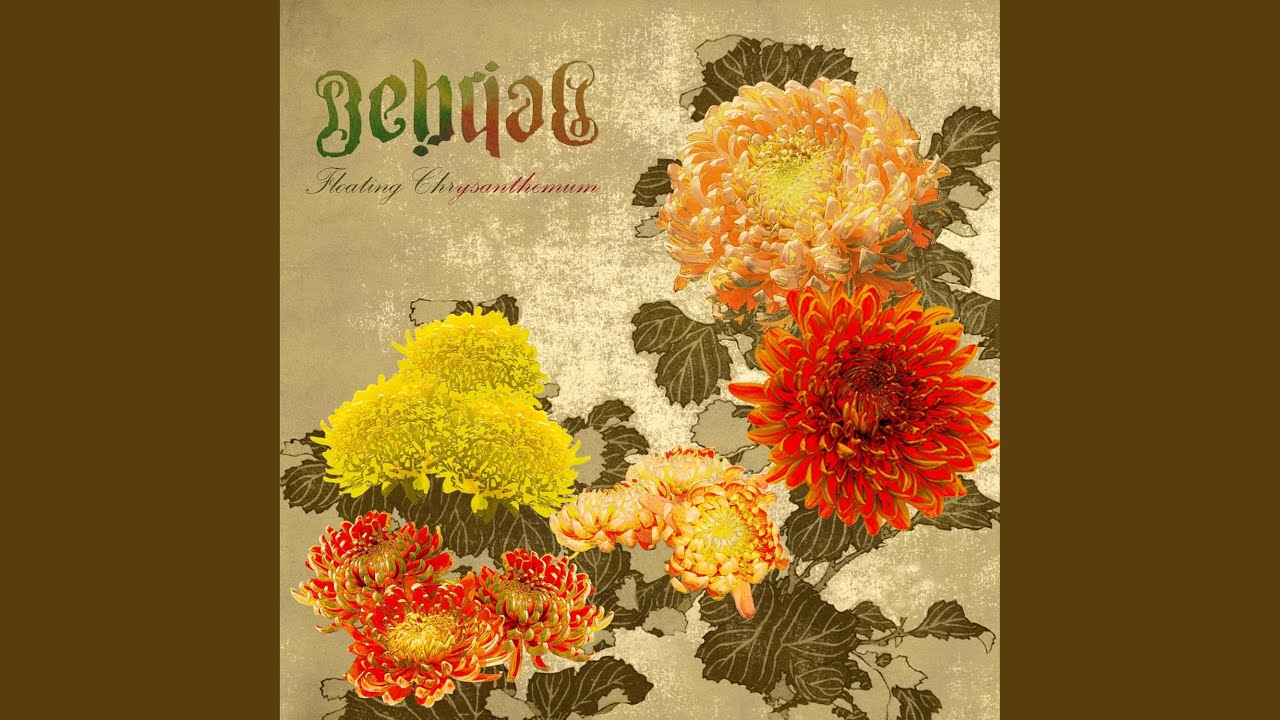 Floating Chrysanthemum