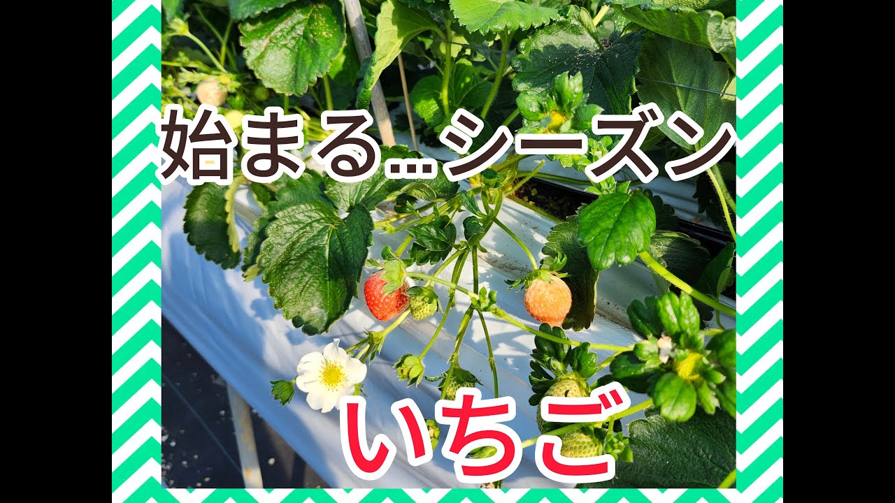 観察は大事だが、見すぎて基準を見失いがち