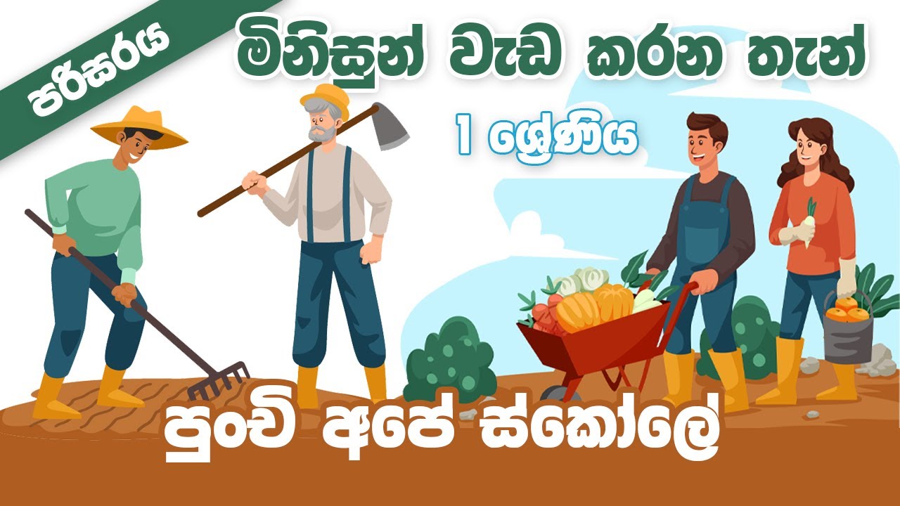 Grade 1 | මිනිසුන් වැඩ කරන තැන්- පරිසරය 1 ශ්‍රේණිය Environmental Studies -Grade 1 | Punchi Ape Skole