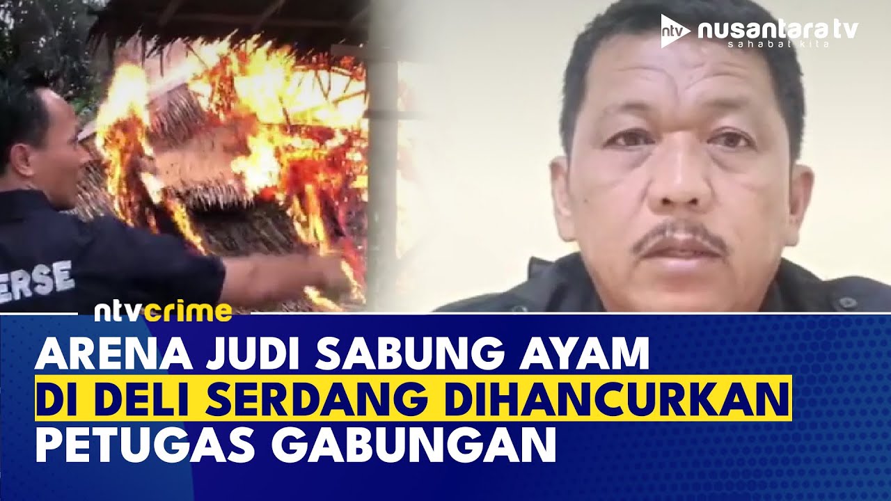Markas Judi Sabung Ayam Digeruduk, Petugas Hancurkan Arena Meski Pelaku Kabur | NTV CRIME