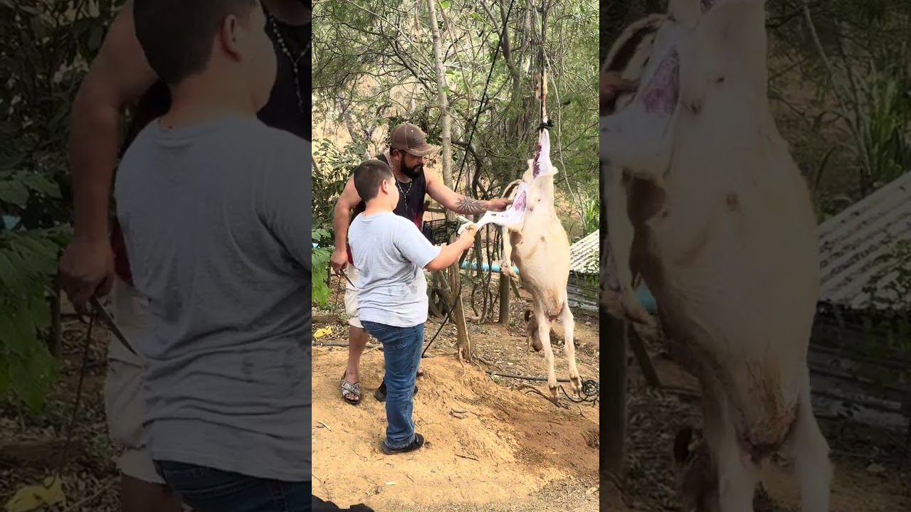 Venimos al Rancho a pelar un Chivito - Averse todavía se acuerda el Viejon 