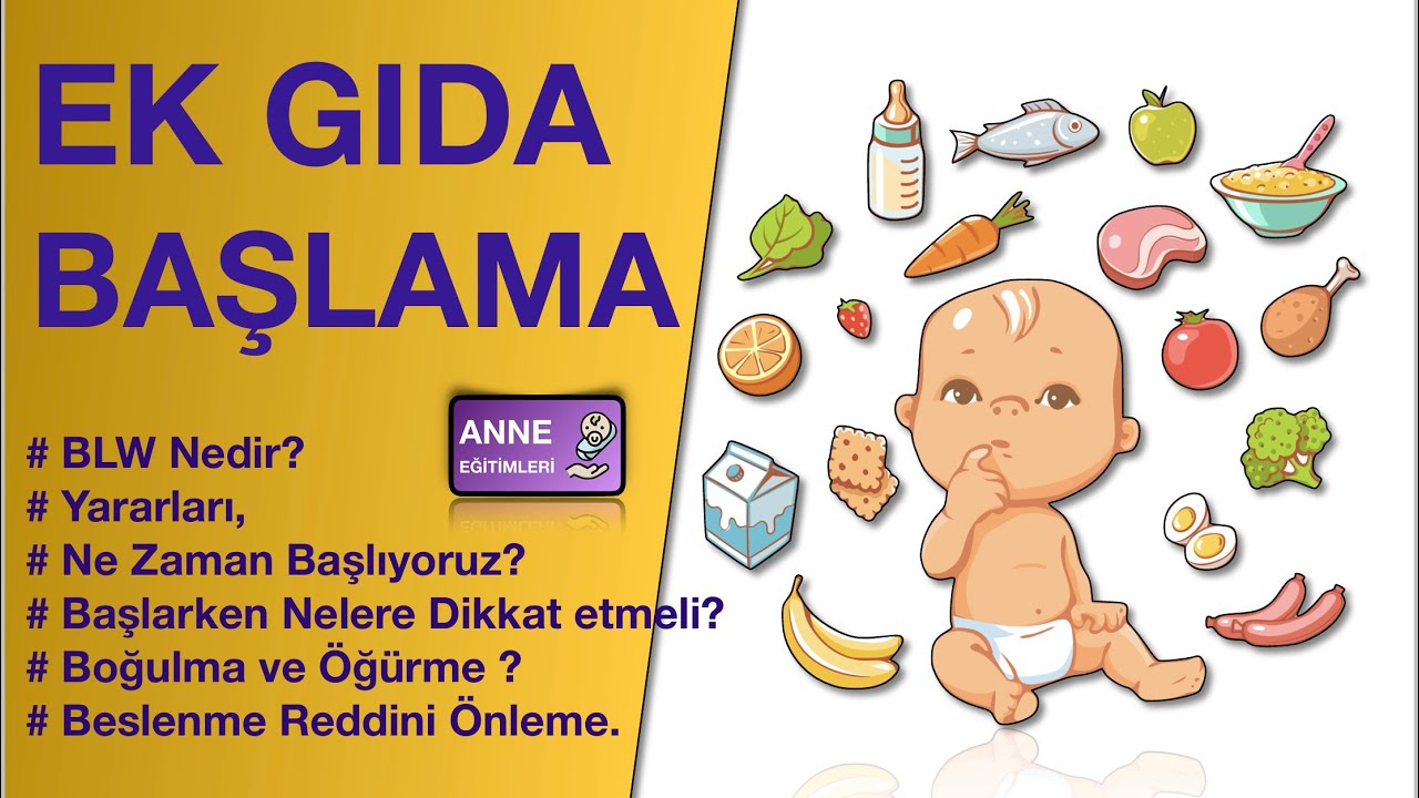 Bebeklerde EK BESİN Başlama ( BLW Nedir? Nasıl Yapılır, Dikkat Edilecek Hususlar, Beslenme Reddi...)
