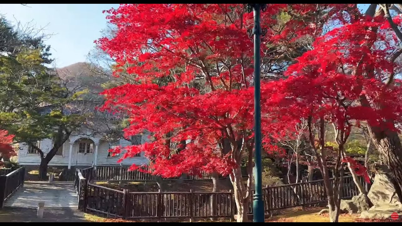 北海道 函館さんぽ④ -谷地頭（やちがしら）- 2022/11/19