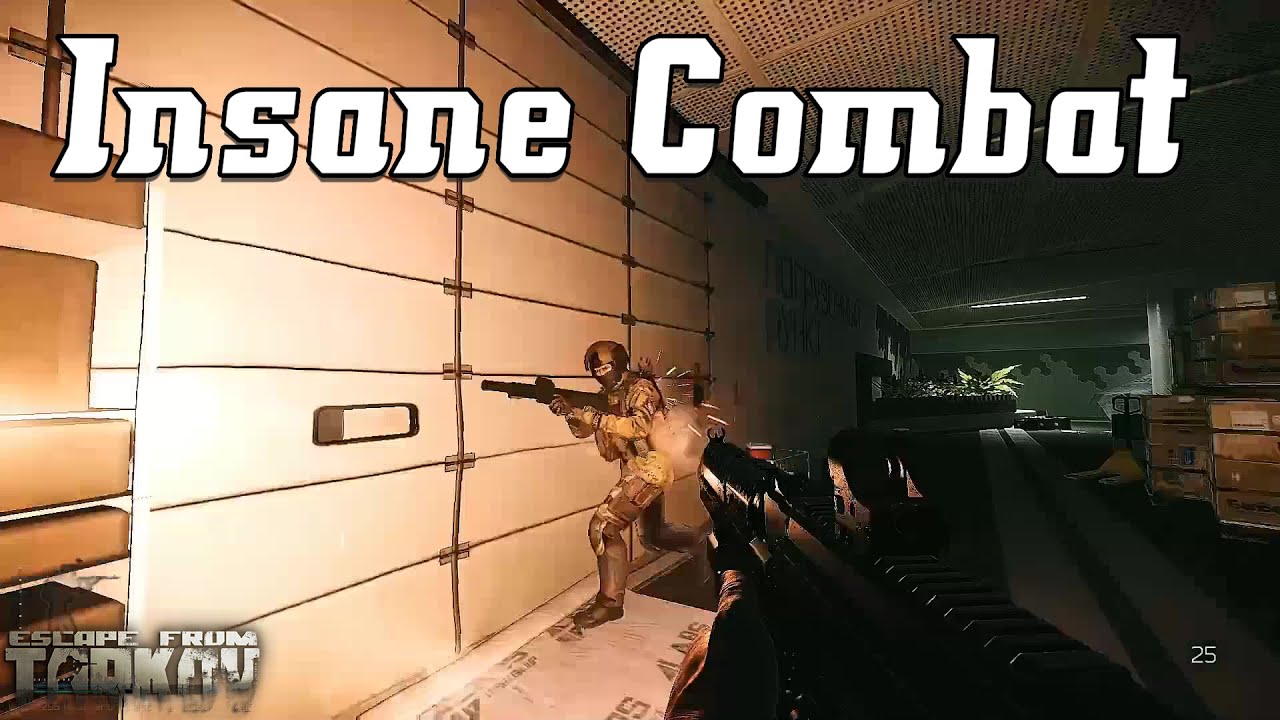 Insane Combat - Escape From Tarkov