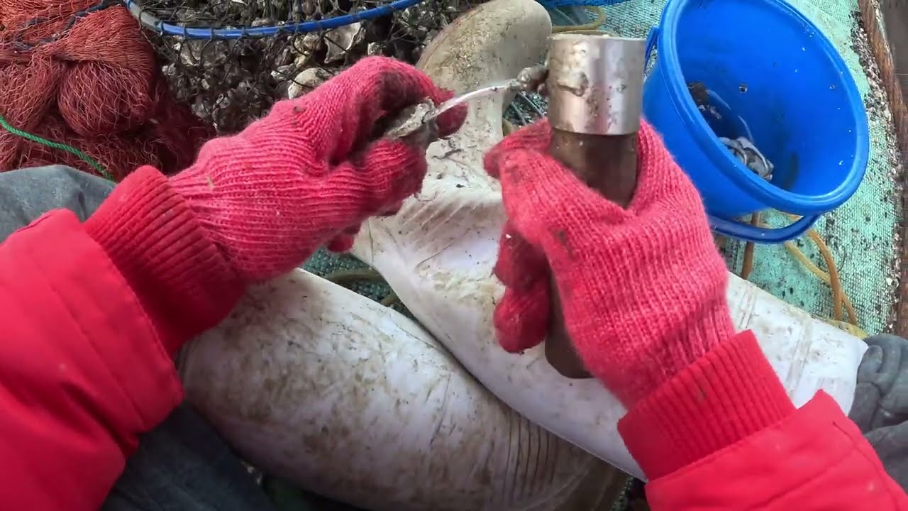 牡蠣筏で釣り日記#17　ノーカット