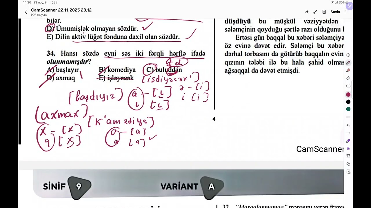 Sınaq