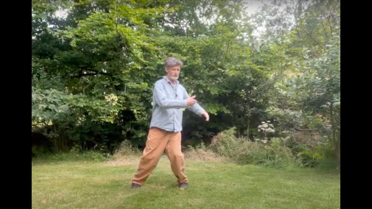 Tai Chi Essence   the full set