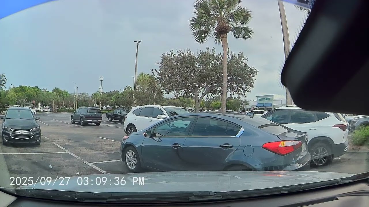 Alligator vs. SUV: Only in Florida (Wait for the Twist!) October 6, 2025(3)