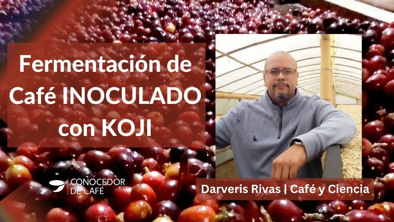 ¿Por qué debes CONOCER sobre FERMENTACIÓN de café con KOJI? Darveris Rivas [Café y Ciencia ]
