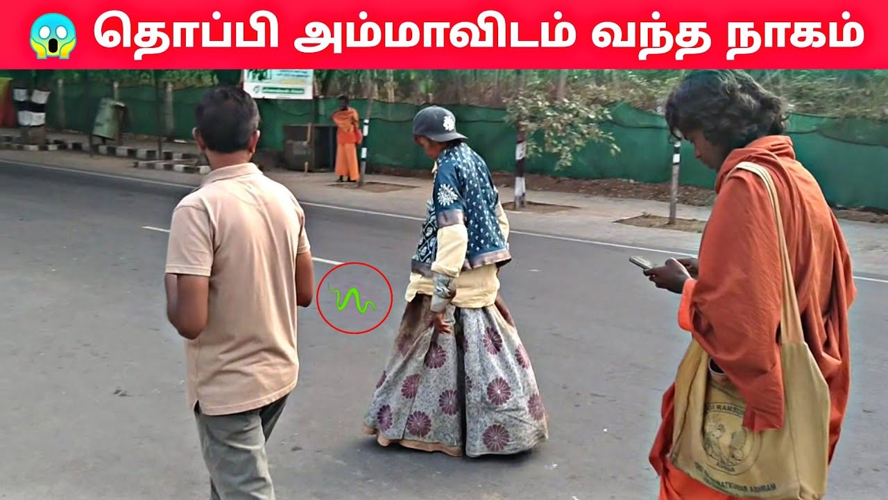 🐍 தொப்பி அம்மாவிடம் வந்த நாகம் திருவண்ணாமலை 🙏🏻 | టోపీ తల్లికి వచ్చిన డ్రాగన్ | Thoppi Amma Tvm