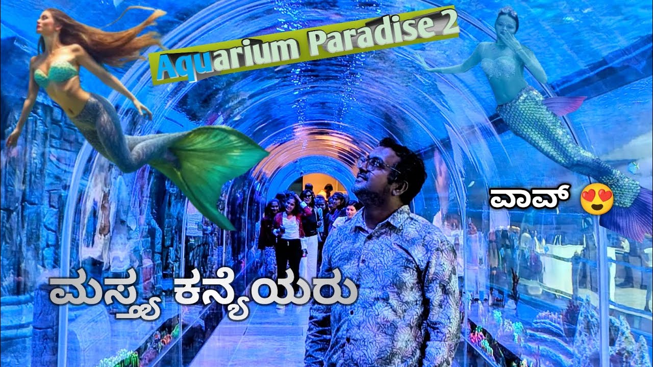 Mermaid world🌊😍 #dailyvlog #kannadavlogs #kannadayoutuber 