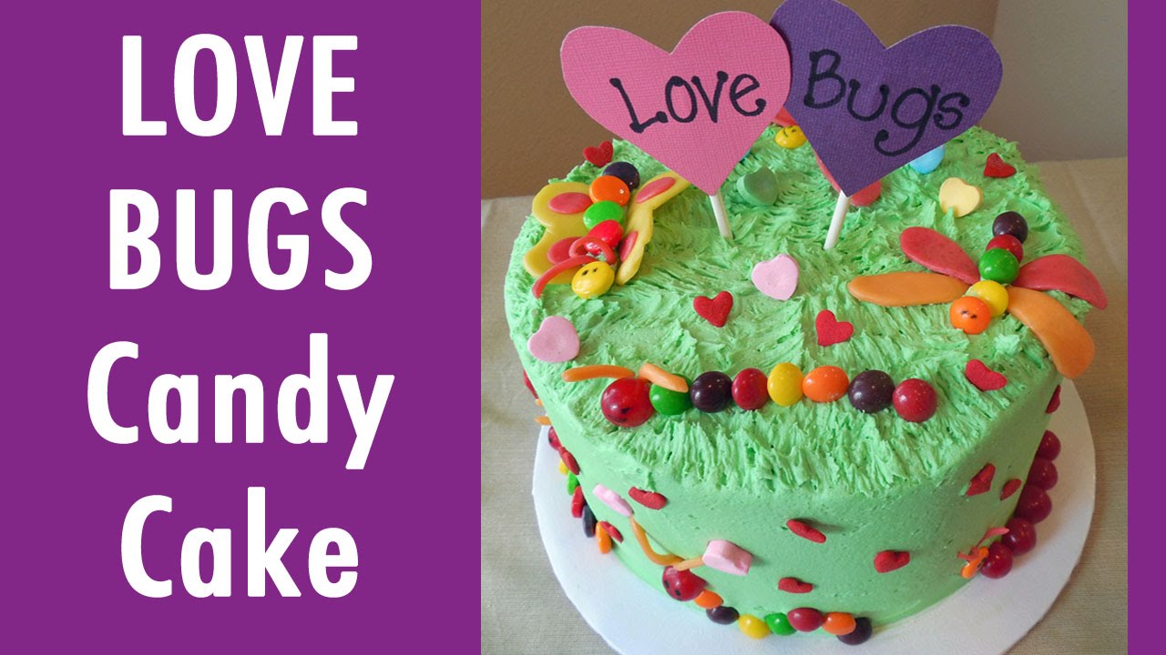 Love Bugs Butterflies Valentines's Cake with Jill