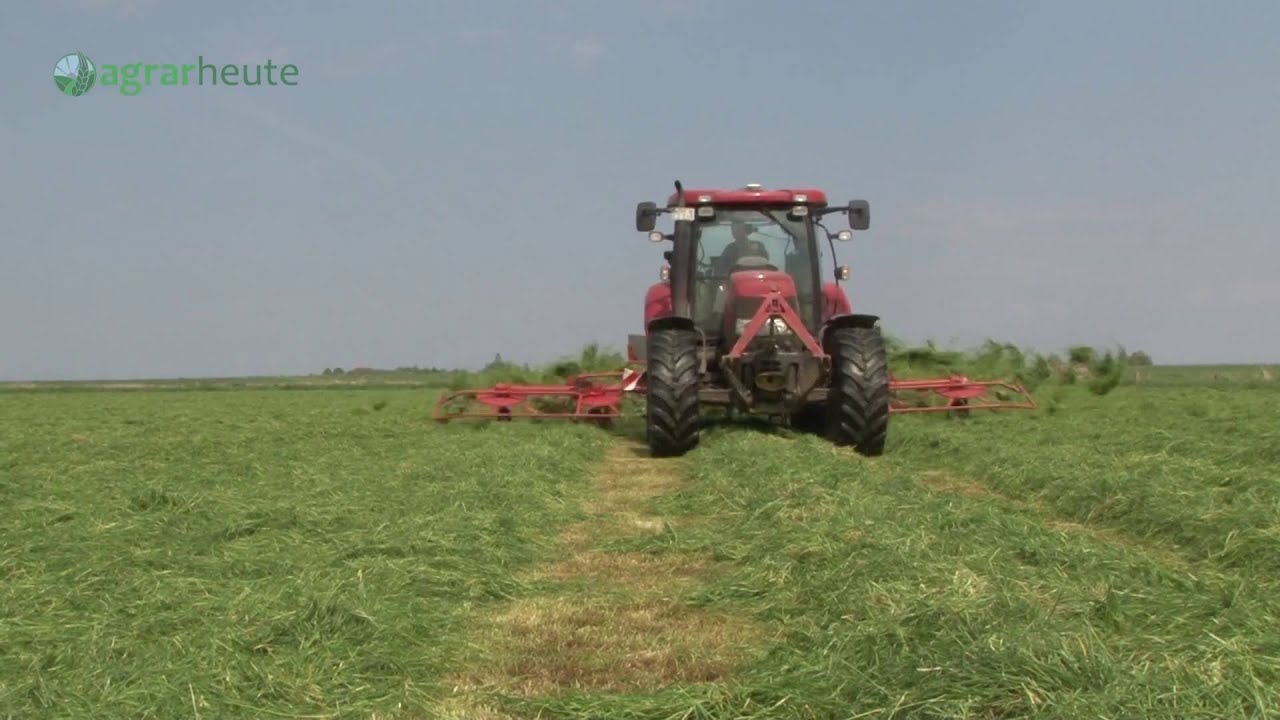 Ratgeber Grassilage: Siliergut richtig anwelken