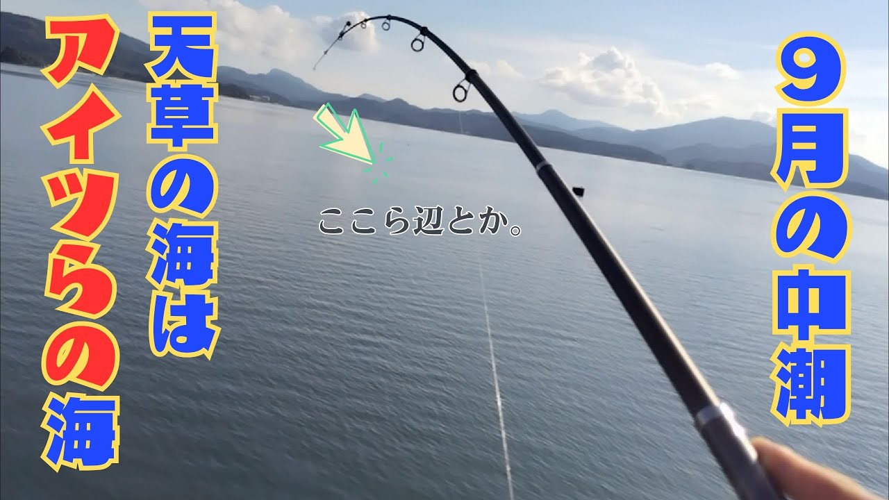 【熊本】9月の海はアイツらの海【ナイスフィッシュ】