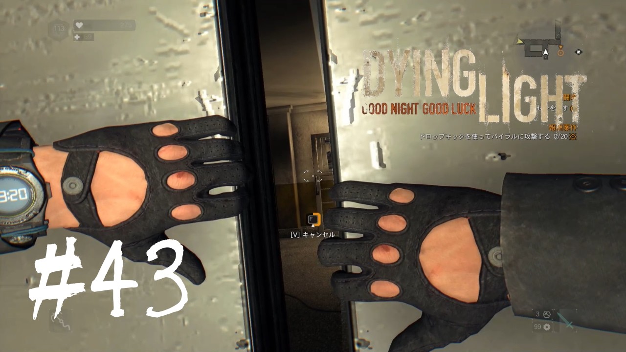 ＃43【Dying Light：悪夢ニューゲームプラス】　久々にメインクエスト。ライズの拠点に侵入