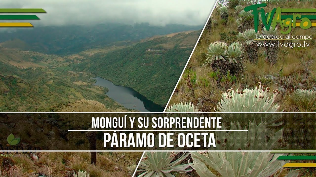 Paramo de Oceta en Mongui- TvAgro por Juan Gonzalo Angel Restrepo