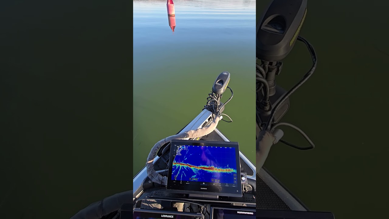 garmin 1643 lvs34 38.03 software Super wide cone angle.