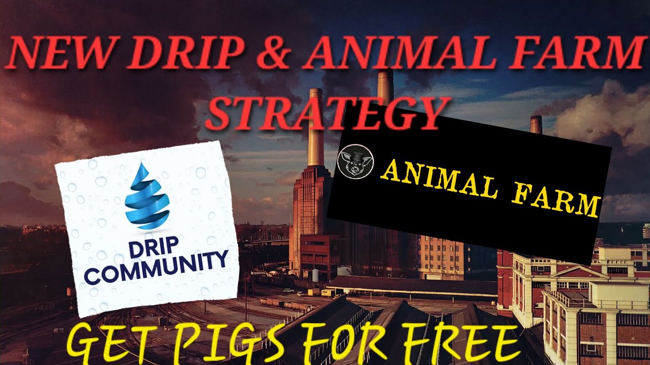 NEW DRIP & ANIMAL FARM MEME TOKEN STRATEGY!!