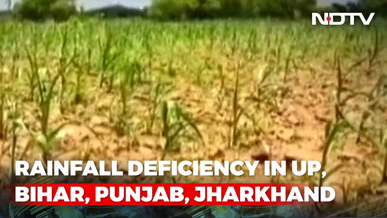 Concern Over Crop Output As 7 states Record Below Normal Rainfall | The News