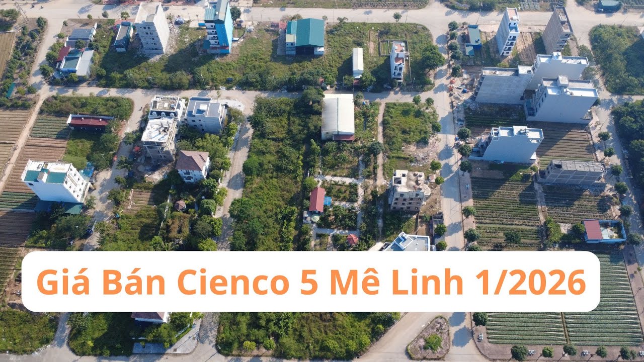 Cienco 5 Mê Linh 1/2026: Giá Đất Hiện Tại Bao Nhiêu? Có Còn Mua Được Không?